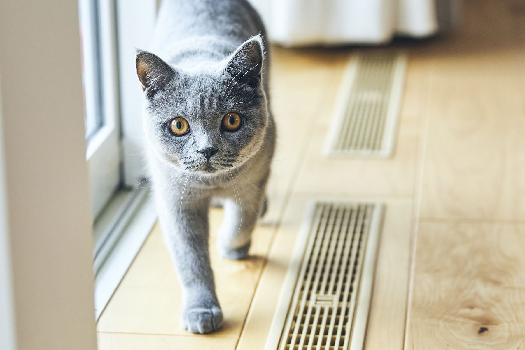 全館空調とイオンクラスターで、心地よくてエコな住まい